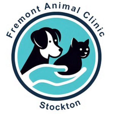 Fremont Vet Clinic Near Me - Vet near me