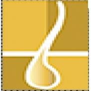 Gainhair Hair Transplants Mérida - Gainhair Hair Transplants Mérida