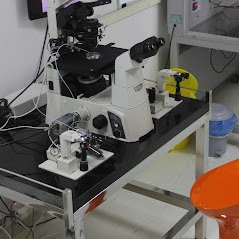 Garbhagudi IVF Center - Kalyan Nagar - Garbhagudi IVF Center - Kalyan Nagar