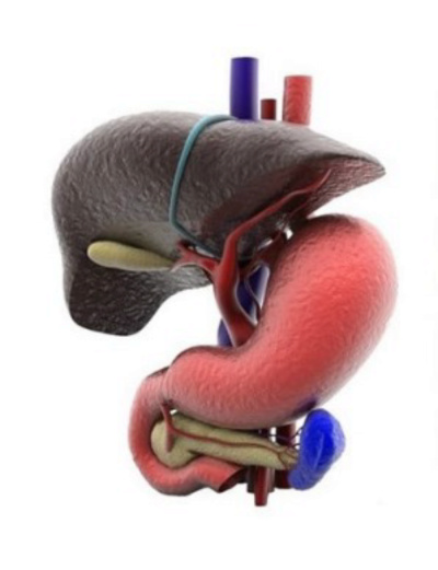 Digestive Surgery Clinic - Dr. Sachin Arora - Dr. Sachin Arora