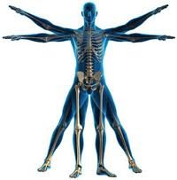 Gems Physio Ltd - Gems Physio Ltd