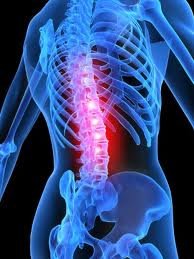 Gems Physio Ltd - Gems Physio Ltd