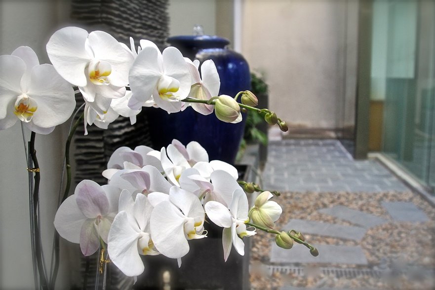 Grace Skincare Clinic - Grace Skincare Clinic