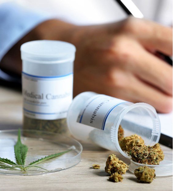 Green Relief - Orlando - Green Relief - Orlando