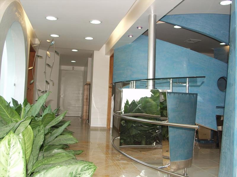 Hair Transplant Institute - Dr. Alba Reyes, MD - Hair Transplant Institute - Dr. Alba Reyes, MD