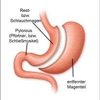 Heаlthy Life Clinic - Heаlthy Life Clinic