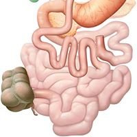 Heаlthy Life Clinic - Heаlthy Life Clinic