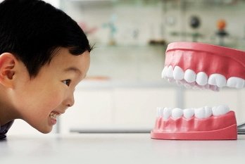 الأسنان عالية - High Dental
