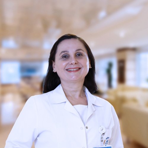 مستشفى هيسار إنتركونتيننتال - Hisar Intercontinental Hospital
