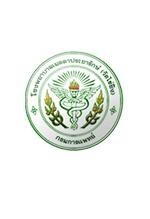 Hospital Metta (Ginger) - Hospital Metta (Ginger)