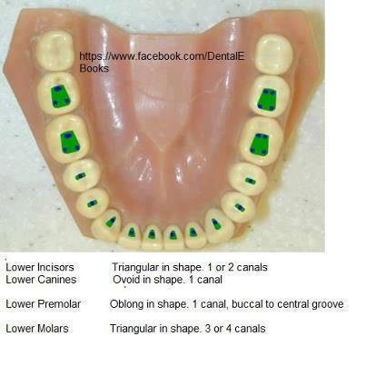 hurghada smile dental clinic - hurghada smile dental clinic