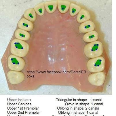 hurghada smile dental clinic - hurghada smile dental clinic