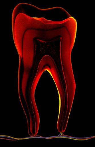 hurghada smile dental clinic - hurghada smile dental clinic