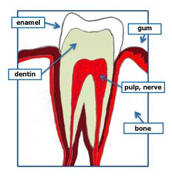 hurghada smile dental clinic - hurghada smile dental clinic