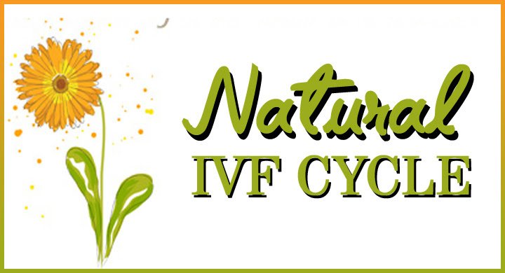 India IVF Fertility Clinic- Gurgaon - India IVF Fertility Clinic- Gurgaon