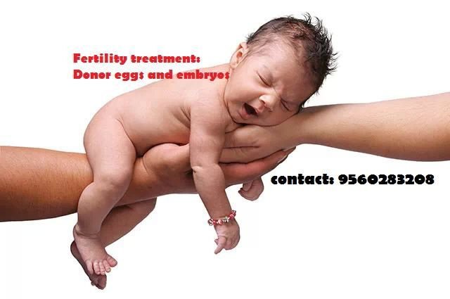 India IVF Fertility Clinic- Gurgaon - India IVF Fertility Clinic- Gurgaon