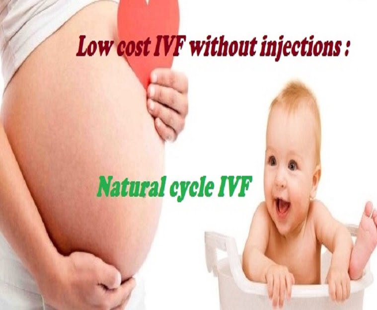 India IVF Fertility Clinic- Gurgaon - India IVF Fertility Clinic- Gurgaon