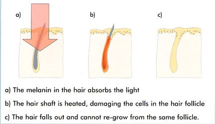 InkDolls Dundee - InkDolls Dundee