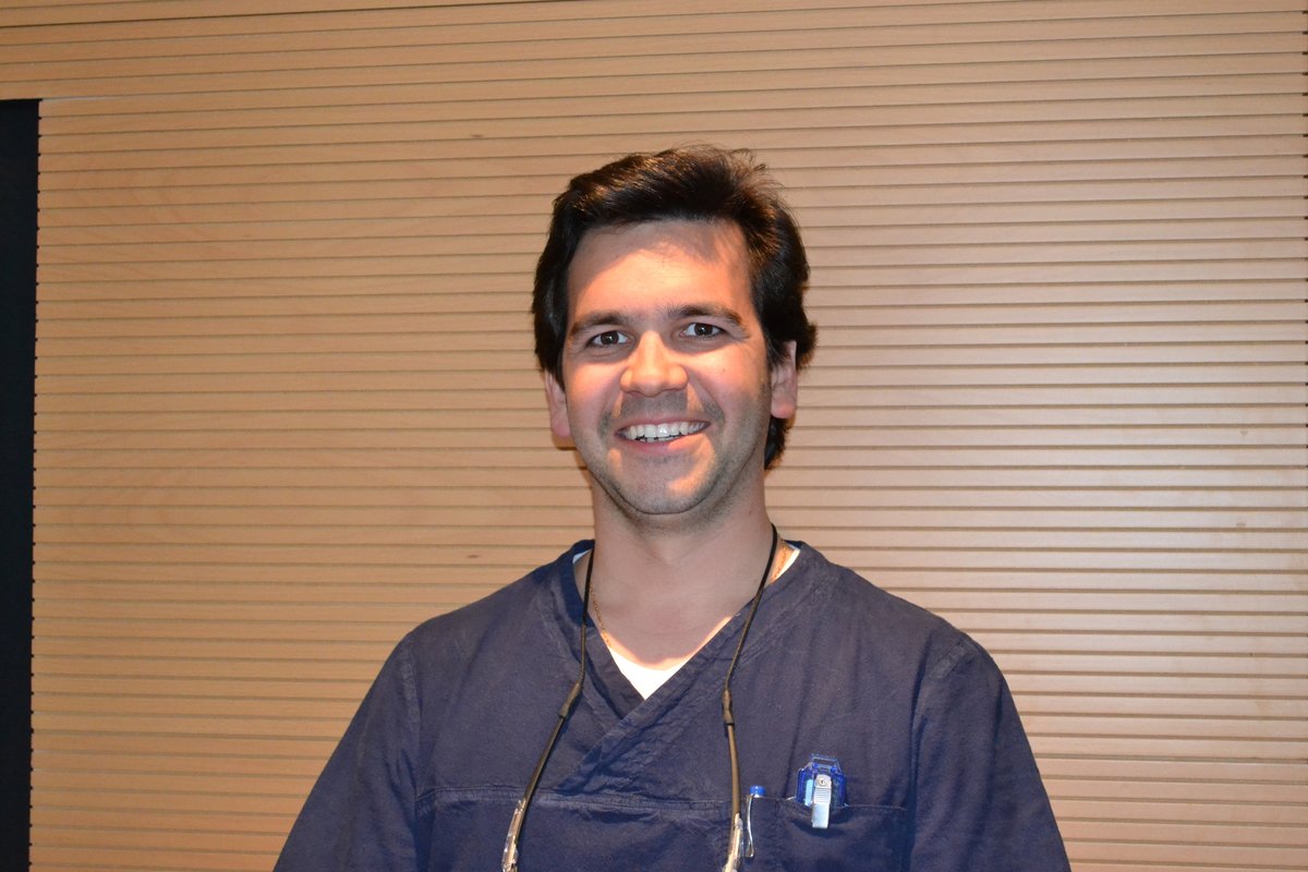 INSTITUT DENTAL BOSCH - INSTITUT DENTAL BOSCH