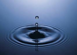Irish Mindfulness Institute - Irish Mindfulness Institute