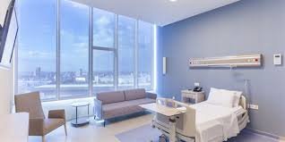 Istinye University Hospital Liv Hospital Bahçeşehir - Istinye University Hospital Liv Hospital Bahçeşehir