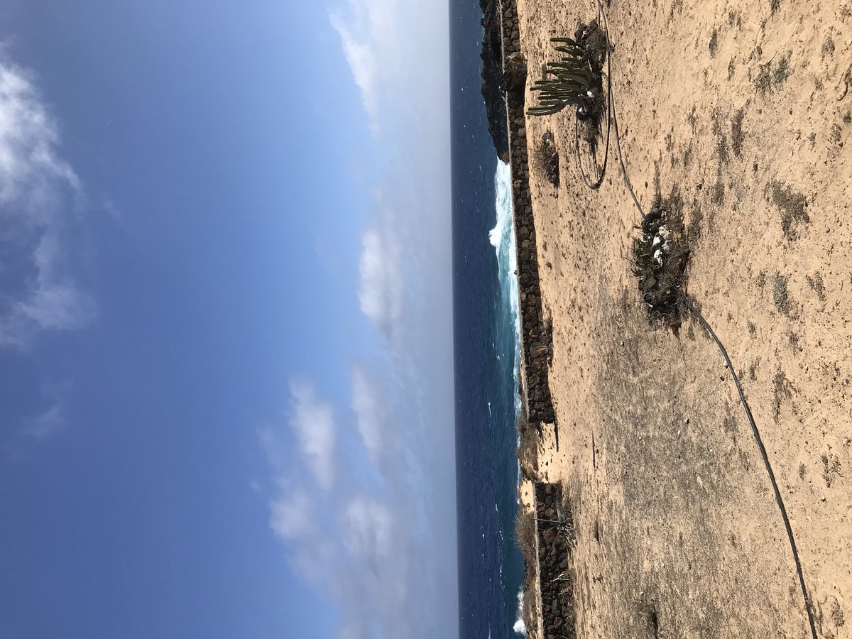 Jamie Last Osteopathy - Jamie Last Osteopathy