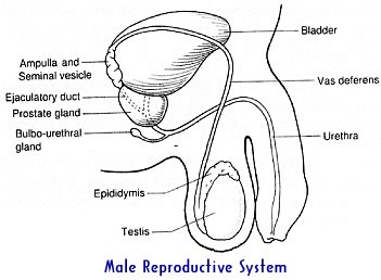 Kathmandu Fertility Center - Kathmandu Fertility Center
