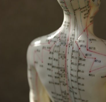 Katy Bradshaw Acupuncture - Katy Bradshaw Acupuncture