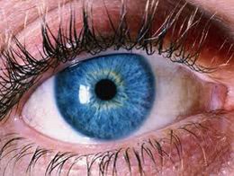 Kirsten Tremlett-Naturopath, Massage Therapist & Retreat Facilitator - Kirsten Tremlett-Naturopath, Massage Therapist & Retreat Facilitator