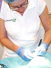 Kvartersdoktorn - Kvartersdoktorn