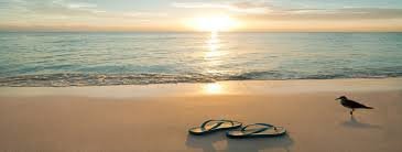 La Costa Del Sur Dental - La Costa Del Sur Dental