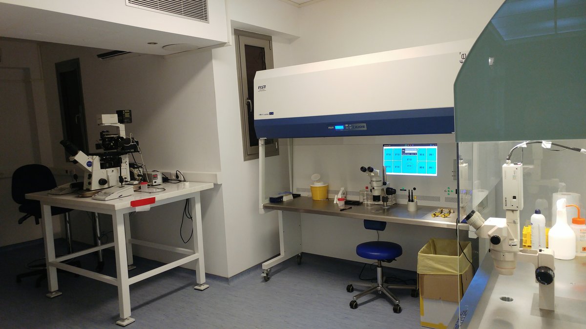 Life Clinic - Life Clinic