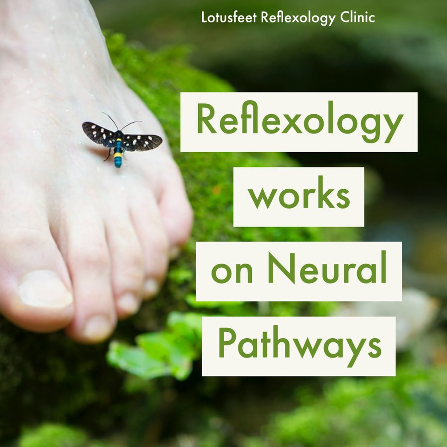 Lotusfeet Foot Reflexology - Lotusfeet Foot Reflexology