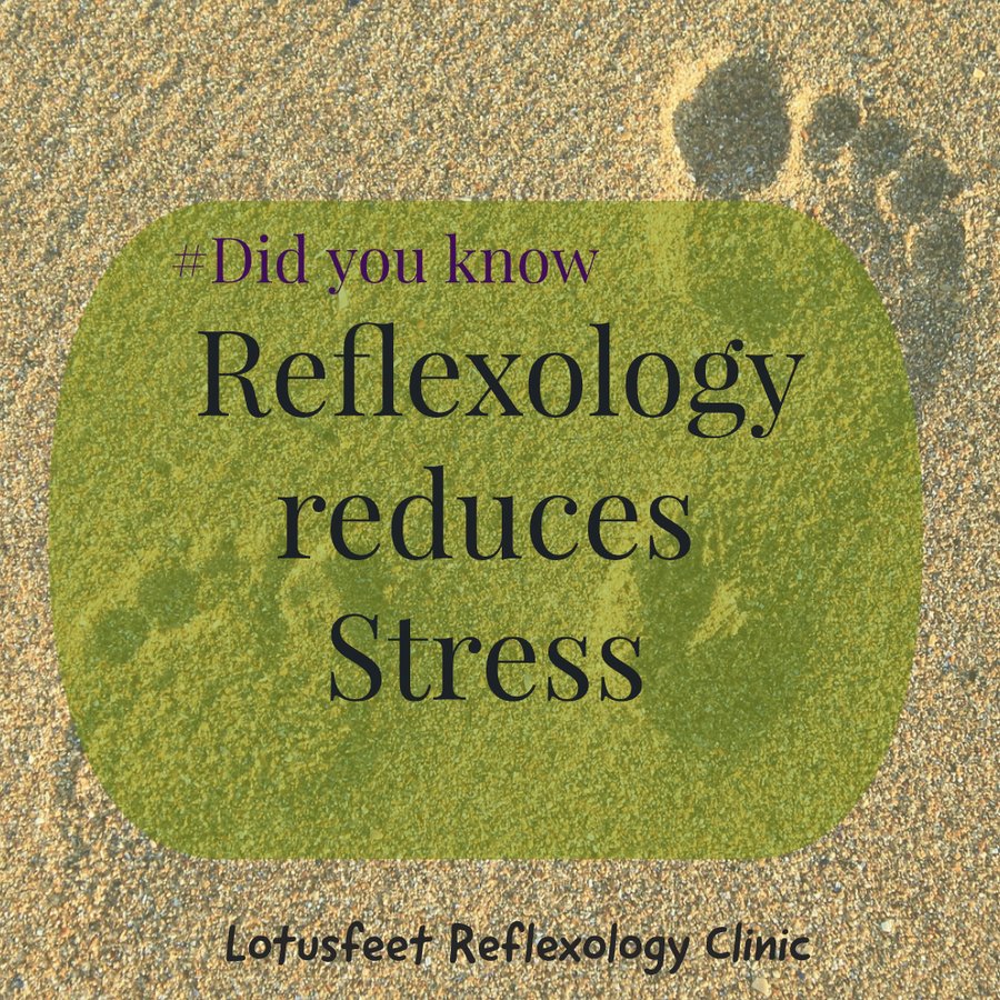 Lotusfeet Foot Reflexology - Lotusfeet Foot Reflexology