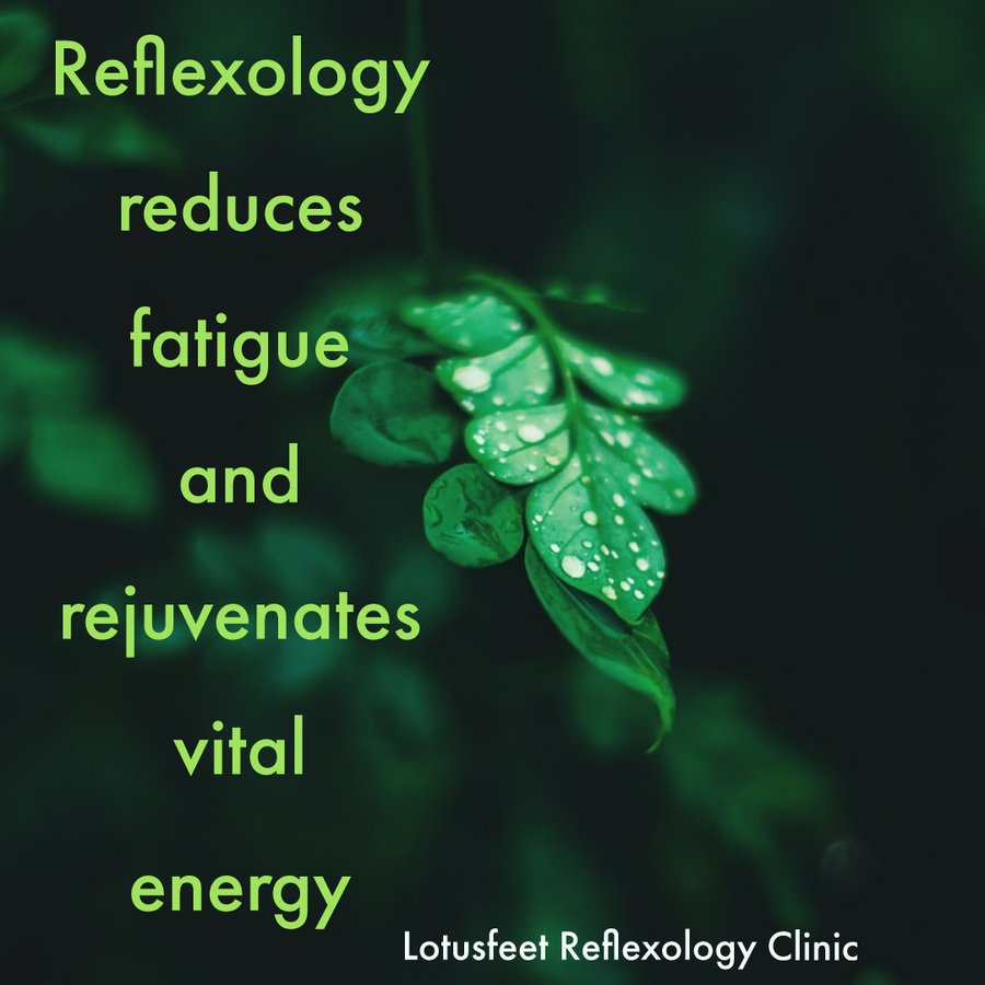 Lotusfeet Foot Reflexology - Lotusfeet Foot Reflexology