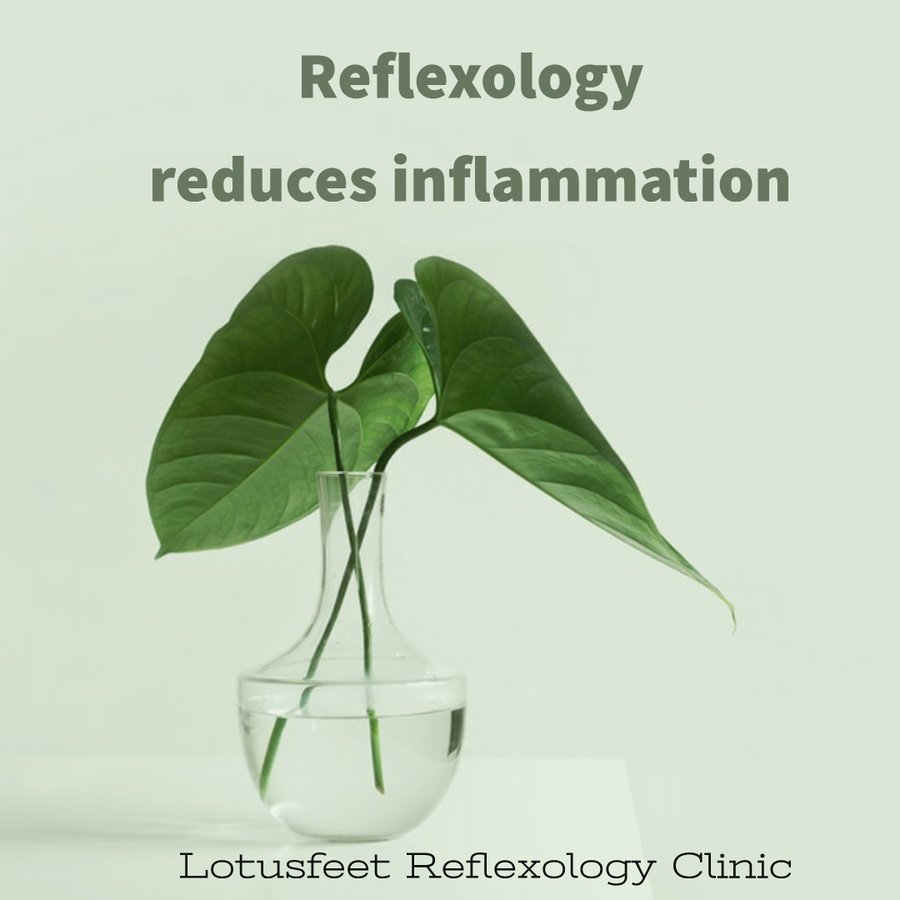 Lotusfeet Foot Reflexology - Lotusfeet Foot Reflexology
