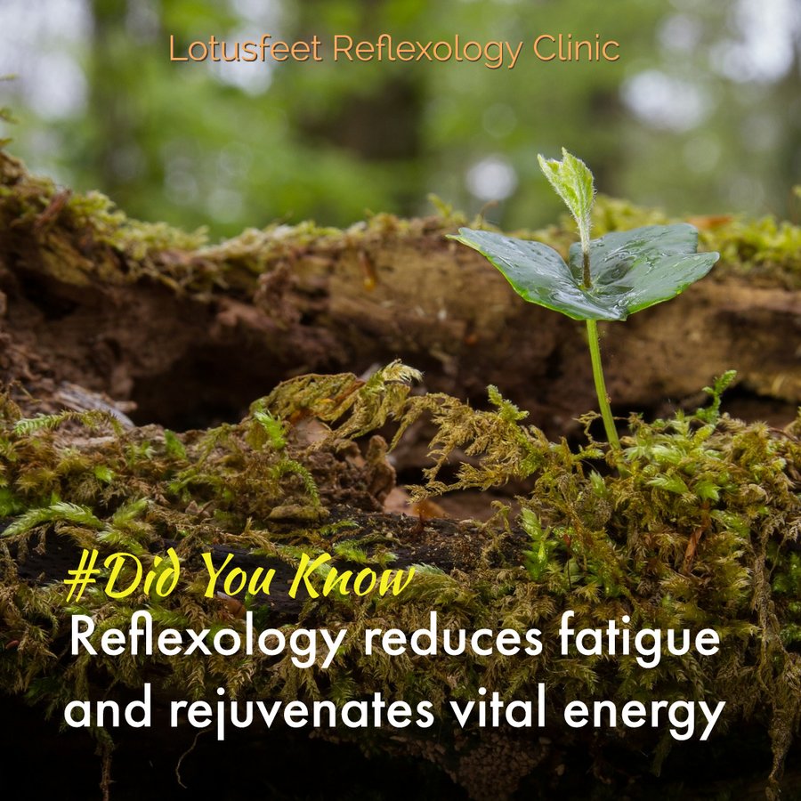 Lotusfeet Foot Reflexology - Lotusfeet Foot Reflexology