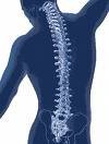 Luton Chiropractic Clinic - Luton Chiropractic Clinic