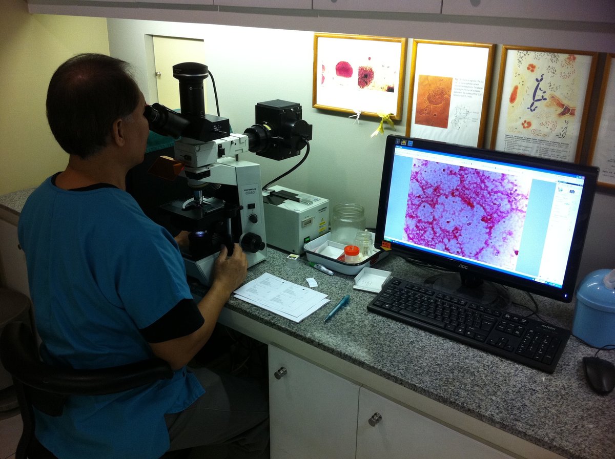 Manila Genitourinary Clinic - Manila Genitourinary Clinic