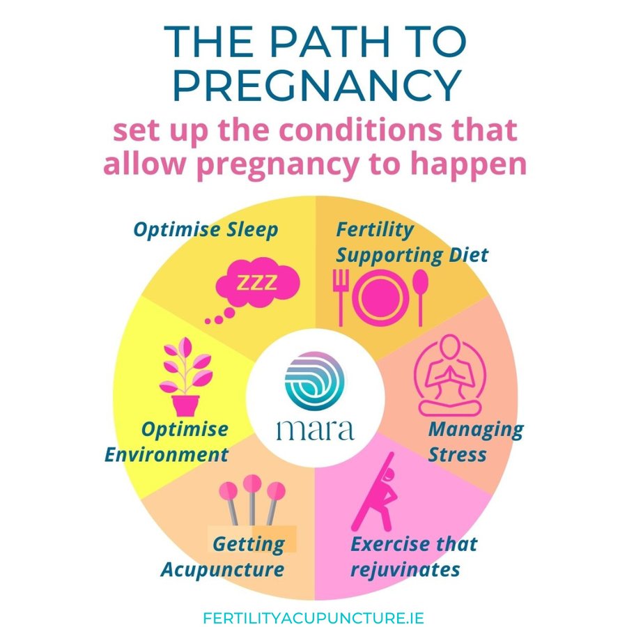 Mara Fertility Acupuncture Specialist Clinic - Mara Fertility Acupuncture Specialist Clinic