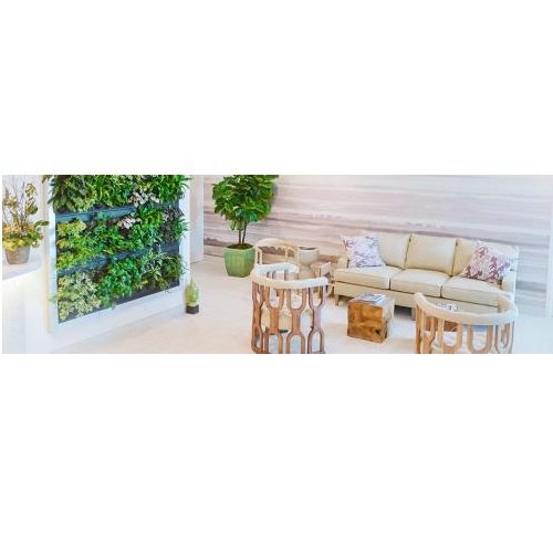 Marnie C Bauer D M D - Marnie C Bauer D M D