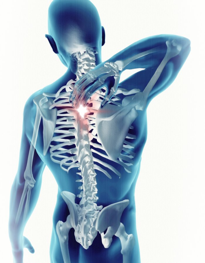 Matrix~Avalon Holistic Clinic - Matrix~Avalon Holistic Clinic