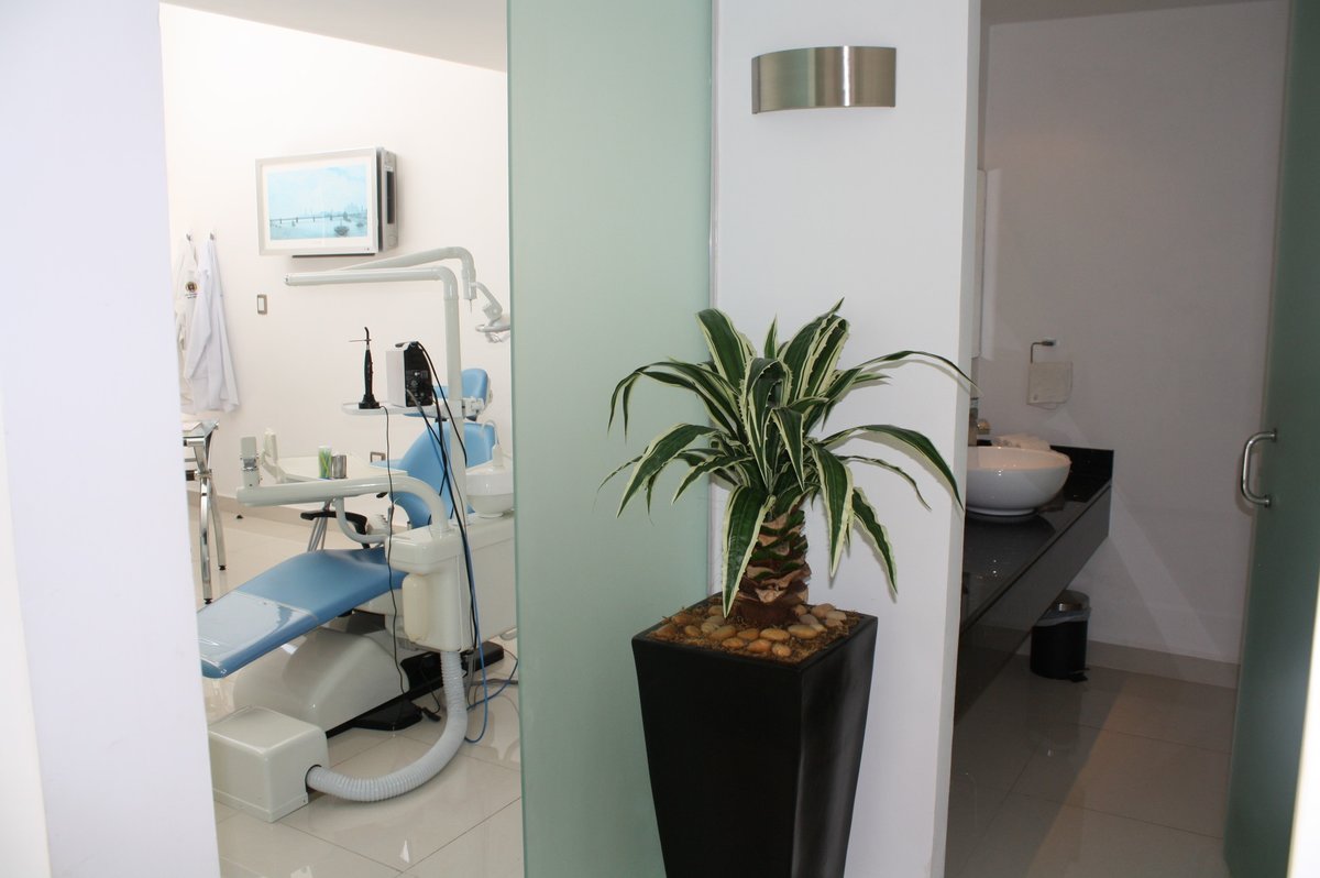 Mauricio Gonzalez Reyes - Mauricio Gonzalez Reyes