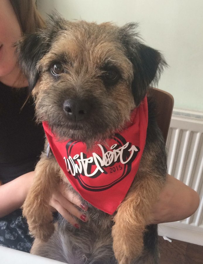 Medic China - Medic China