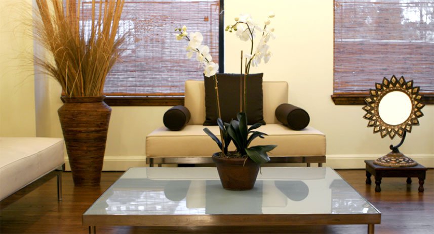 Medical Aesthetics - Medical Aesthetics