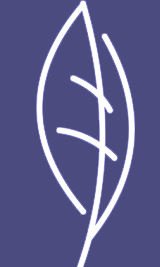 Medical Cosmetic & Spa - Gloucestershire - Medical Cosmetic & Spa - Gloucestershire