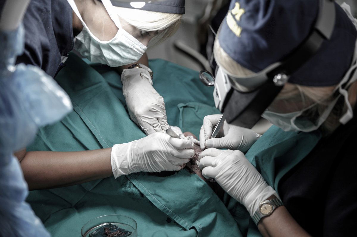 Medicalhair Turkey - Dr. Sibel Ulusan - Medicalhair Turkey - Dr. Sibel Ulusan