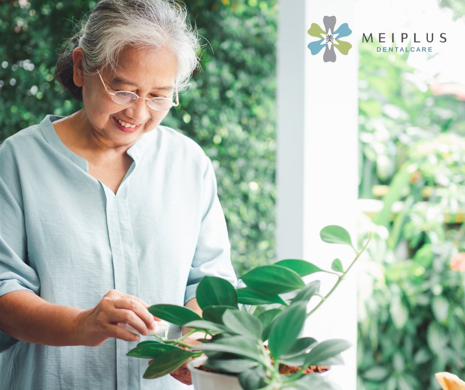 Meiplus Dentalcare - Meiplus Dentalcare