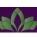 Melbourne Skin and Cosmetic Clinic - Melbourne Skin and Cosmetic Clinic
