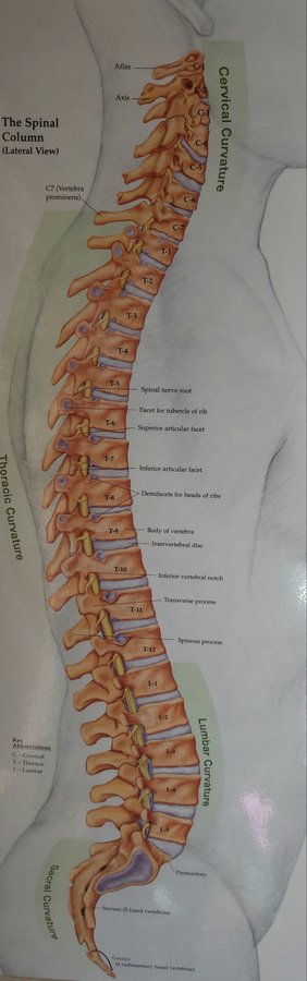 Meraki in Motion Wellness Centre. - Meraki in Motion Wellness Centre.
